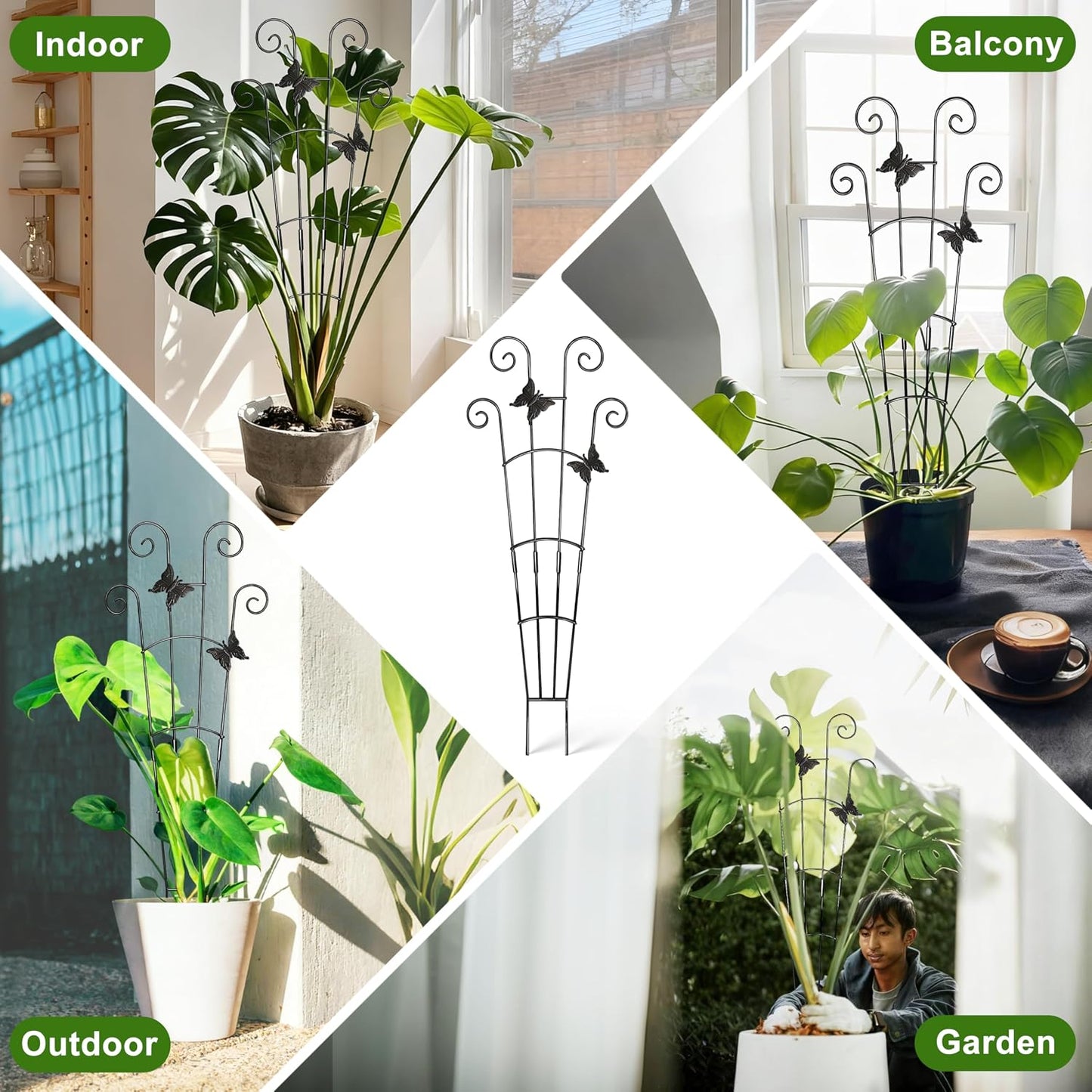 Monstera Plant Support Trellis (2-Pack) – Expandable Metal Stakes