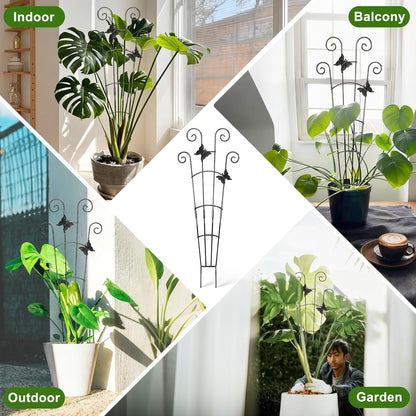 Monstera Plant Support Trellis (2-Pack) – Expandable Metal Stakes