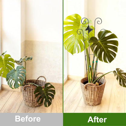 Monstera Plant Support Trellis (2-Pack) – Expandable Metal Stakes