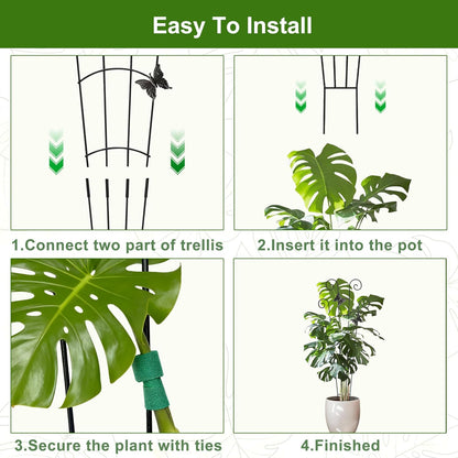 Monstera Plant Support Trellis (2-Pack) – Expandable Metal Stakes