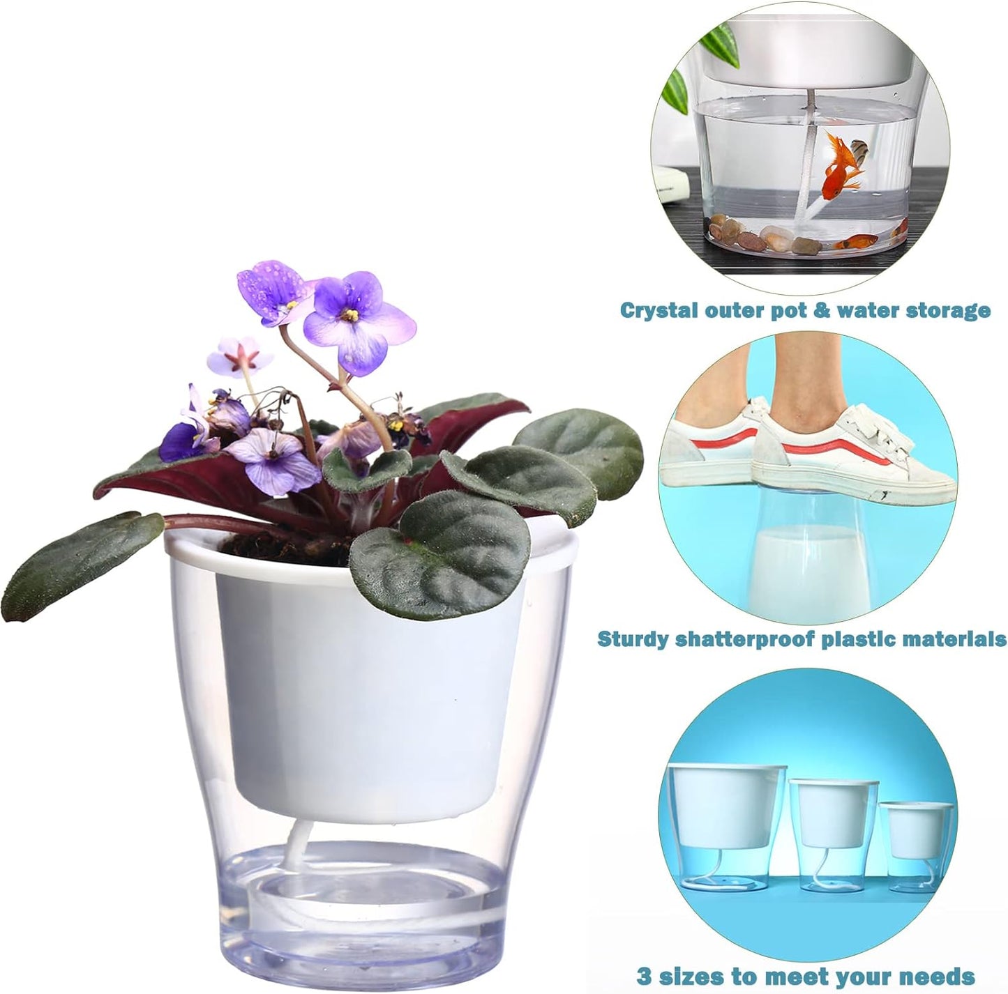 Self-Watering Clear Planters (3-Pack) – Indoor Plant Pots for Herbs & Violets