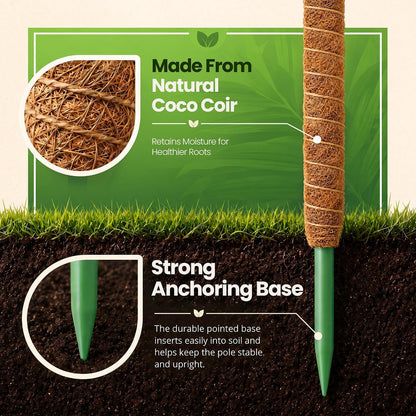 Bendable Moss Pole (2-Pack) – Monstera & Climbing Plant Support