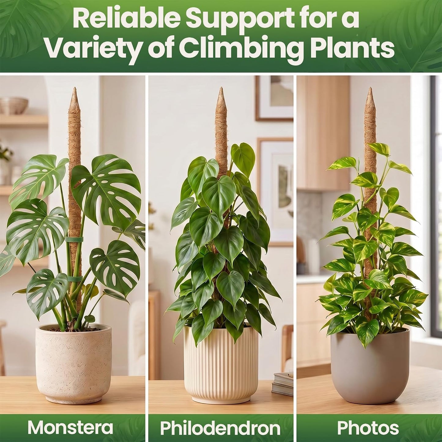 Bendable Moss Pole (2-Pack) – Monstera & Climbing Plant Support