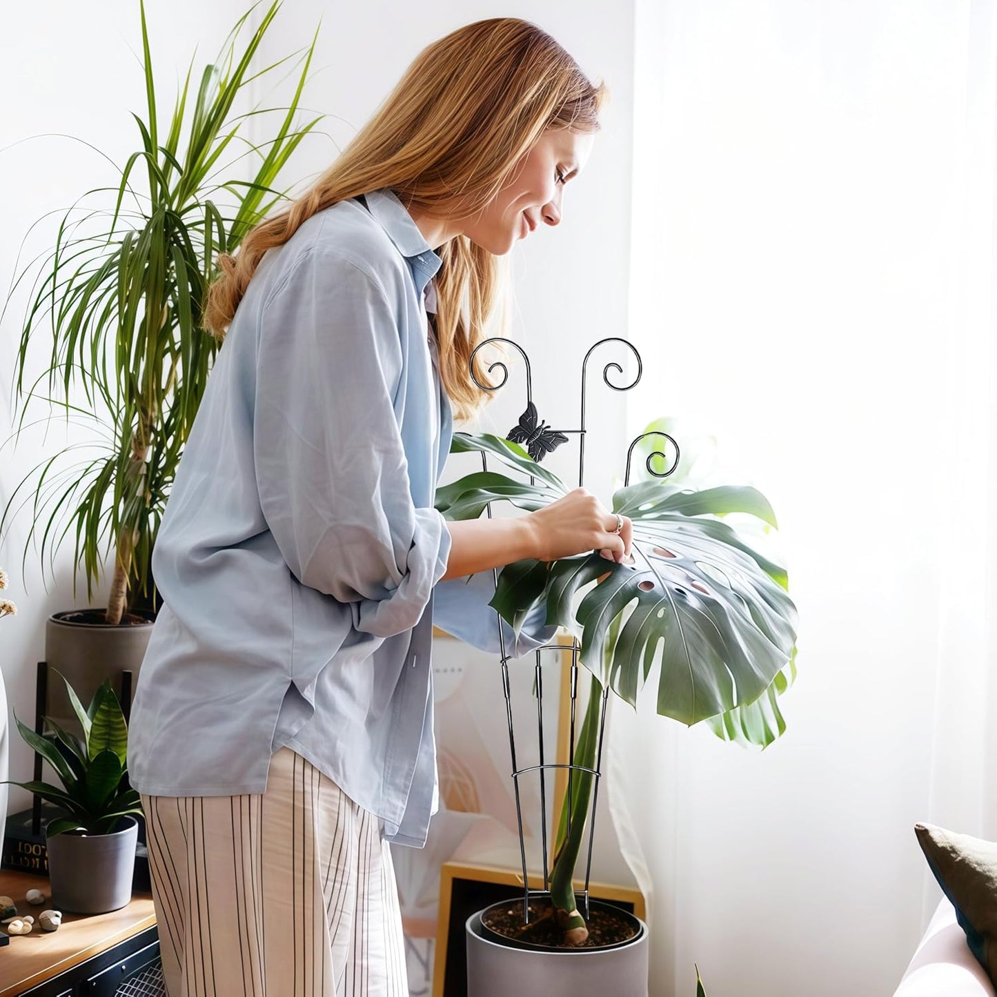 Monstera Plant Support Trellis (2-Pack) – Expandable Metal Stakes