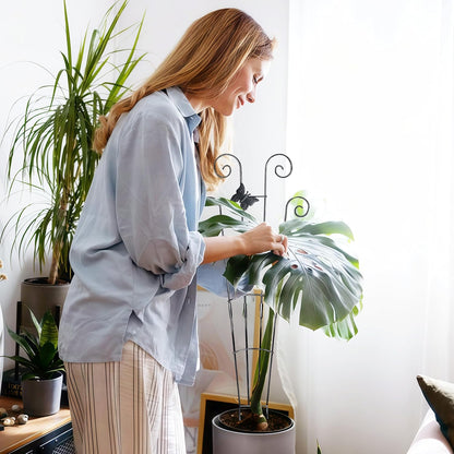 Monstera Plant Support Trellis (2-Pack) – Expandable Metal Stakes