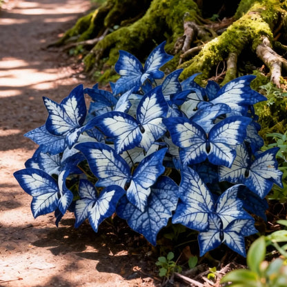 800 Pcs Butterfly Leaf Hosta Seeds | Shade-Loving Perennial Garden Plants | Easy-Grow Border Landscaping