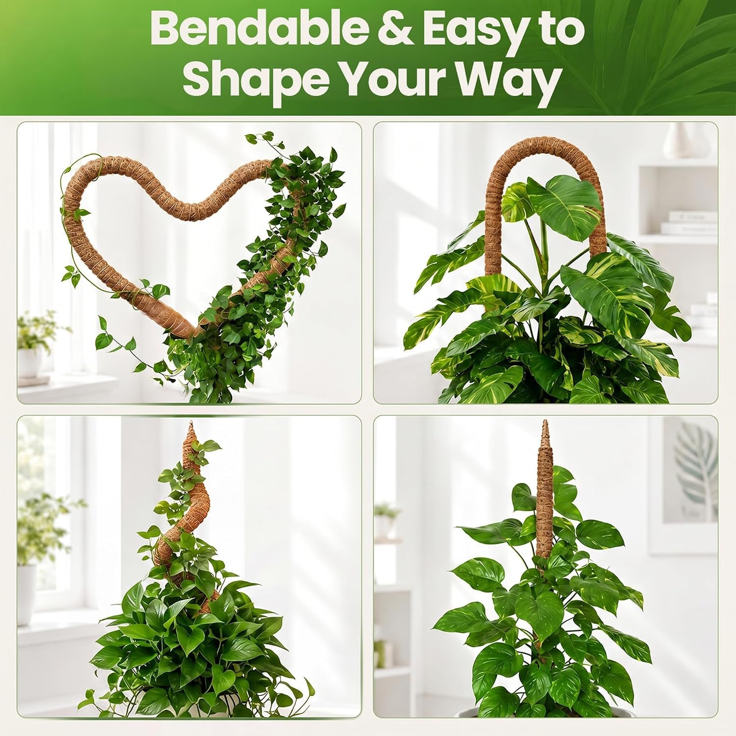 Bendable Moss Pole (2-Pack) – Monstera & Climbing Plant Support