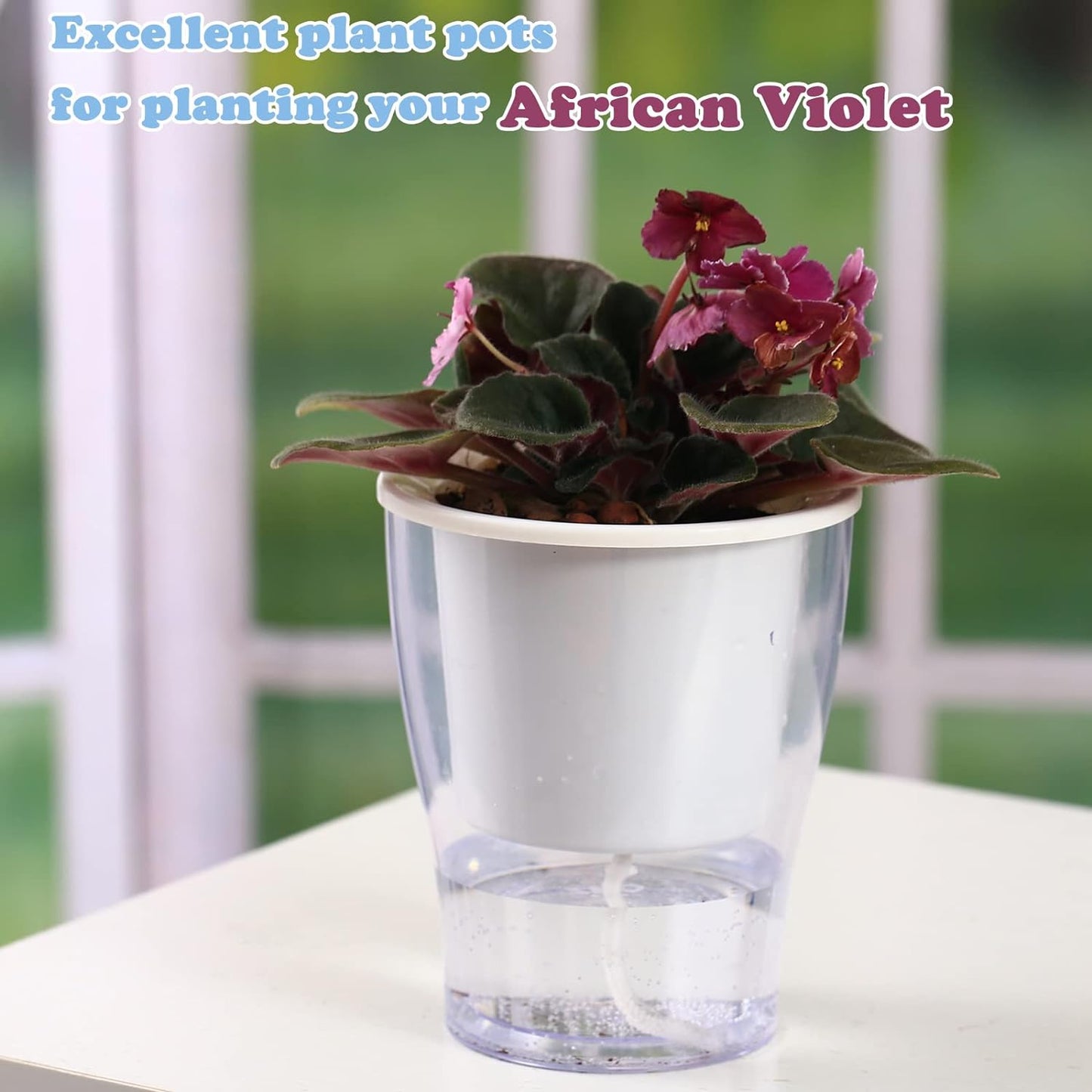 Self-Watering Clear Planters (3-Pack) – Indoor Plant Pots for Herbs & Violets