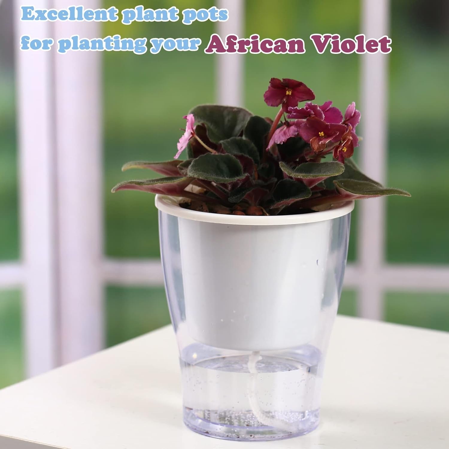 Self-Watering Clear Planters (3-Pack) – Indoor Plant Pots for Herbs & Violets