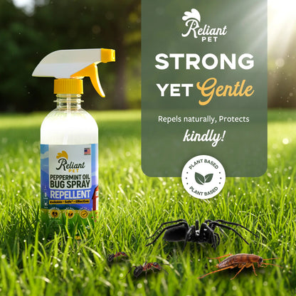 Reliant Natural Peppermint Oil Bug Spray | Ant, Spider & Roach Repellent | Pet & Kid Safe (16 oz, Made in USA)