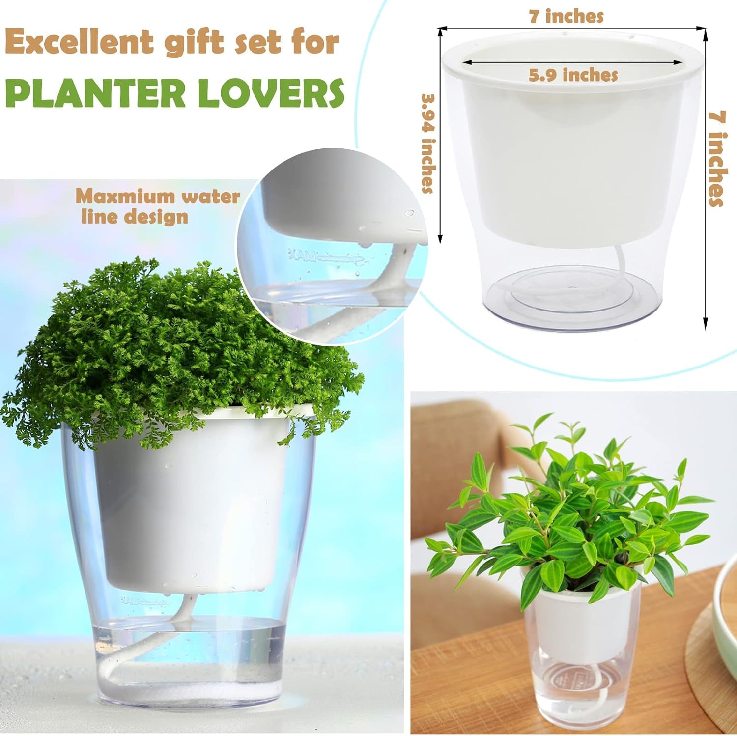 Self-Watering Clear Planters (3-Pack) – Indoor Plant Pots for Herbs & Violets