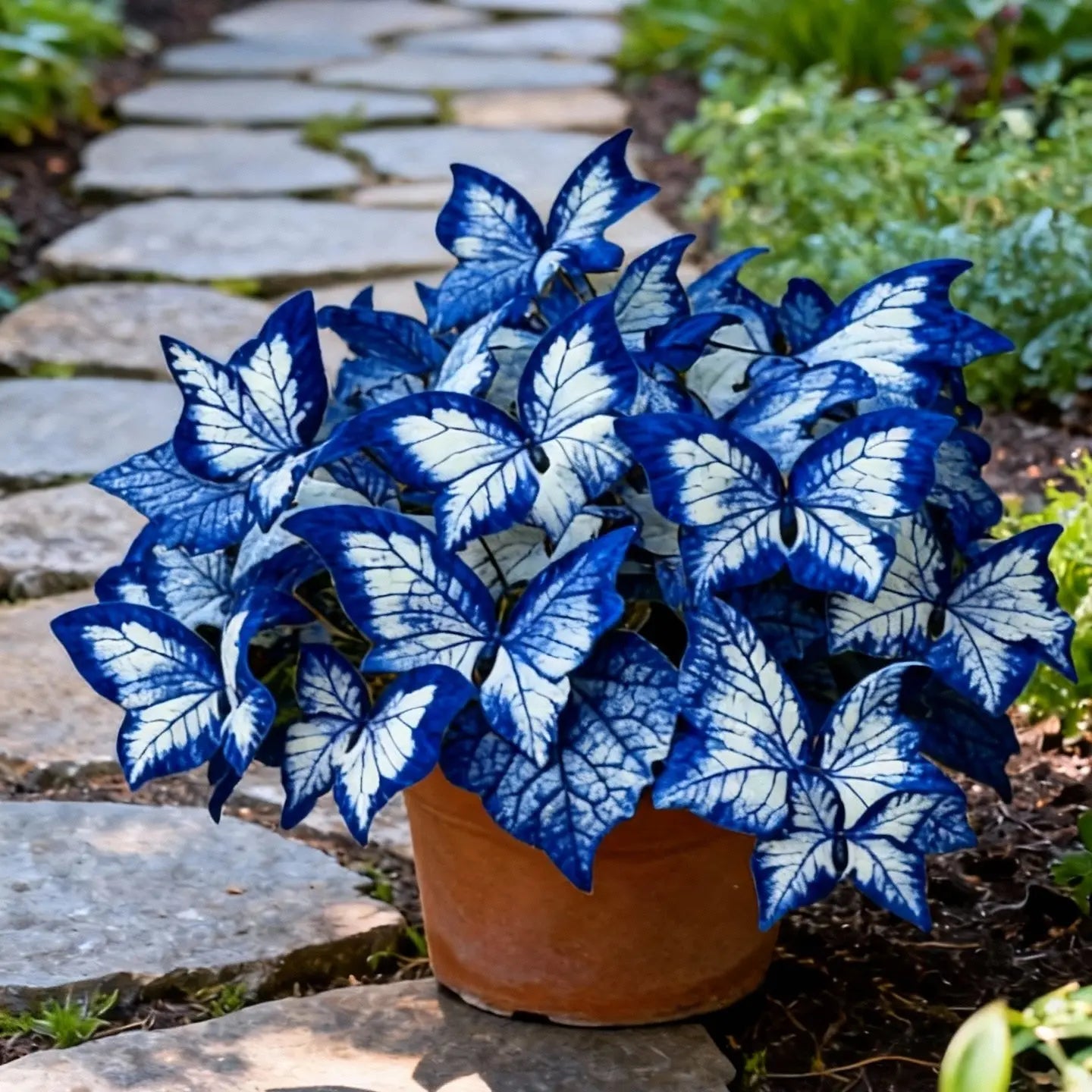 800 Pcs Butterfly Leaf Hosta Seeds | Shade-Loving Perennial Garden Plants | Easy-Grow Border Landscaping