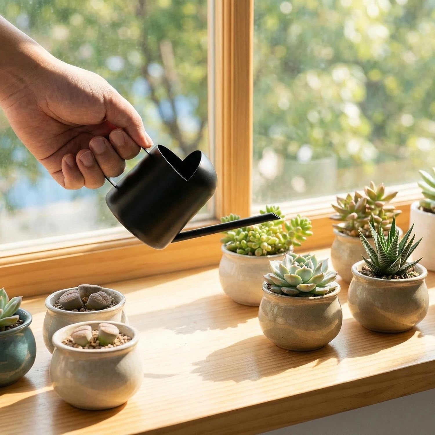 Mini Stainless Steel Watering Can (11Oz) – Indoor Plant Care