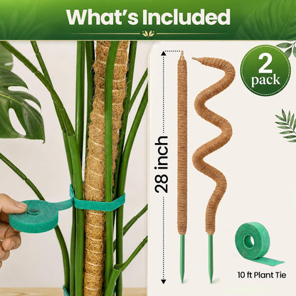 Bendable Moss Pole (2-Pack) – Monstera & Climbing Plant Support