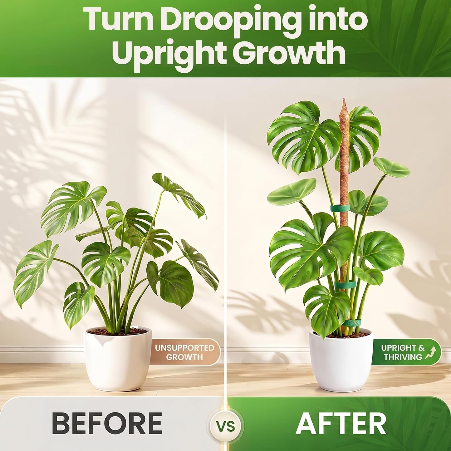 Bendable Moss Pole (2-Pack) – Monstera & Climbing Plant Support