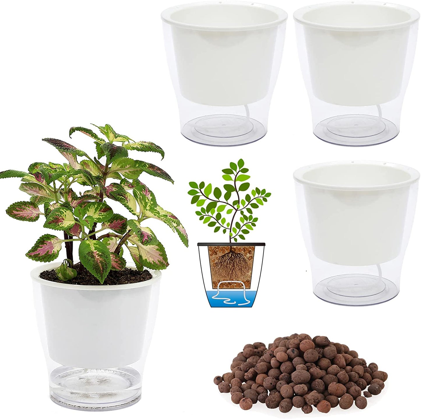 Self-Watering Clear Planters (3-Pack) – Indoor Plant Pots for Herbs & Violets