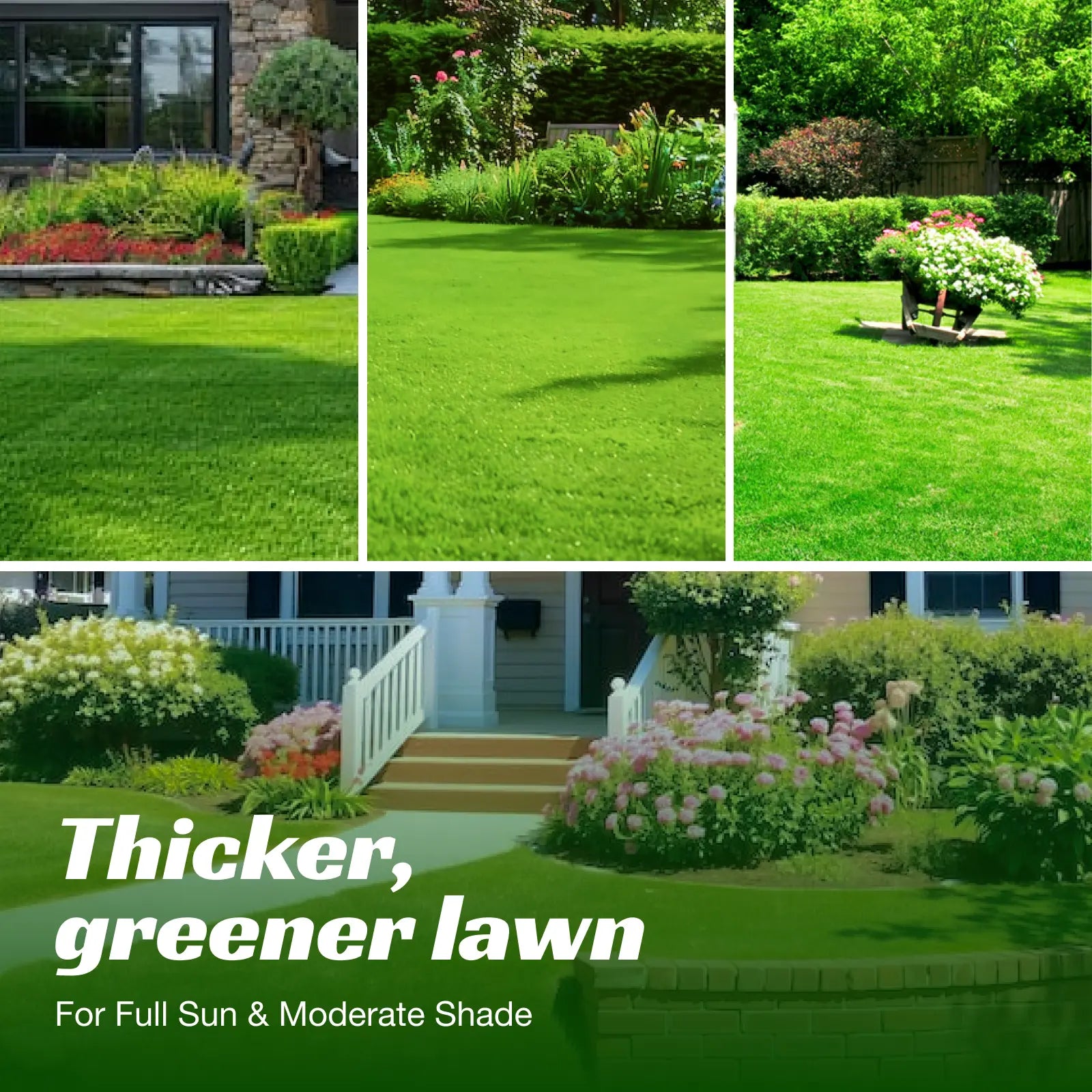 Premium USA-Grown Shade Grass Seed Mix | Fast-Growing, All-Season Turf