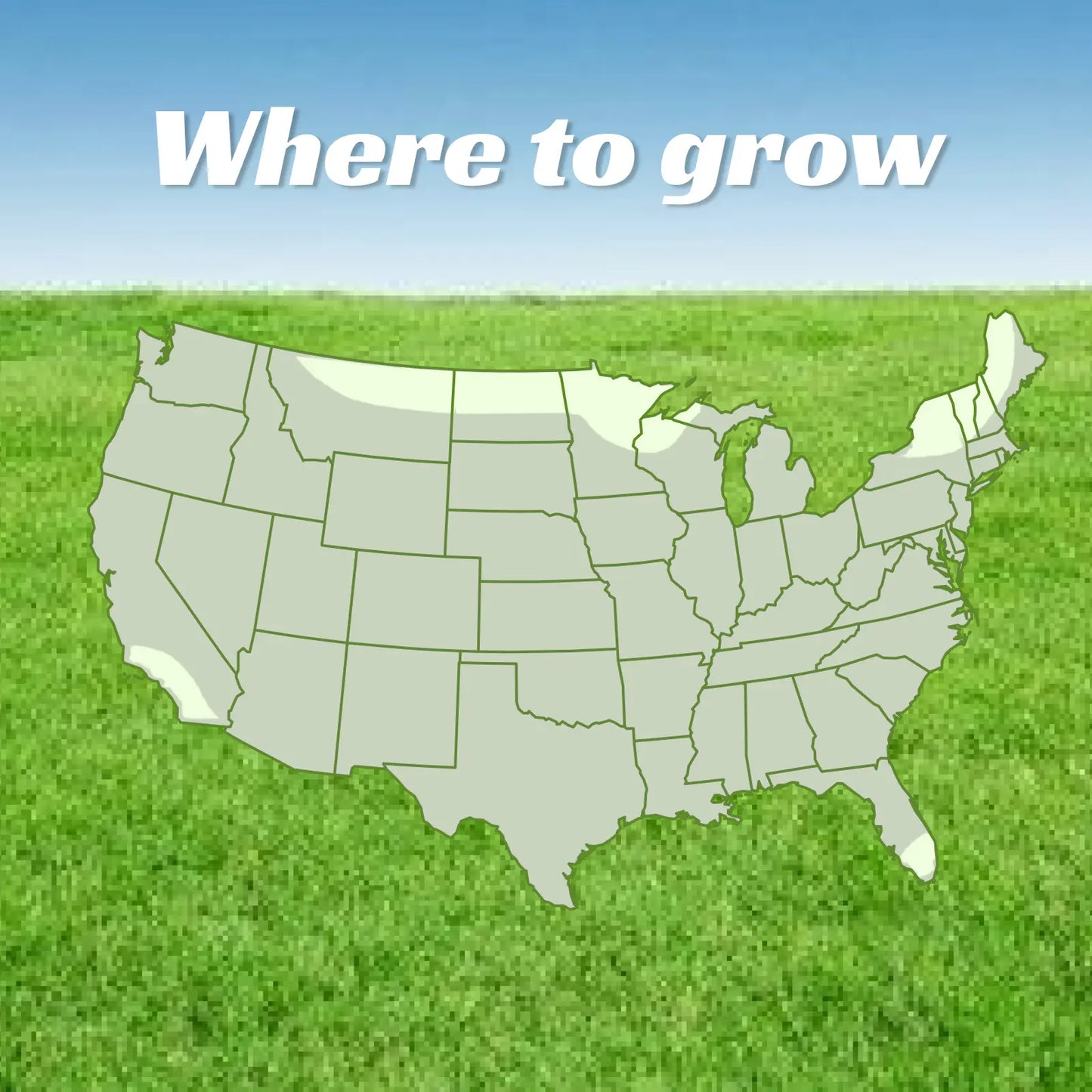 Premium USA-Grown Shade Grass Seed Mix | Fast-Growing, All-Season Turf
