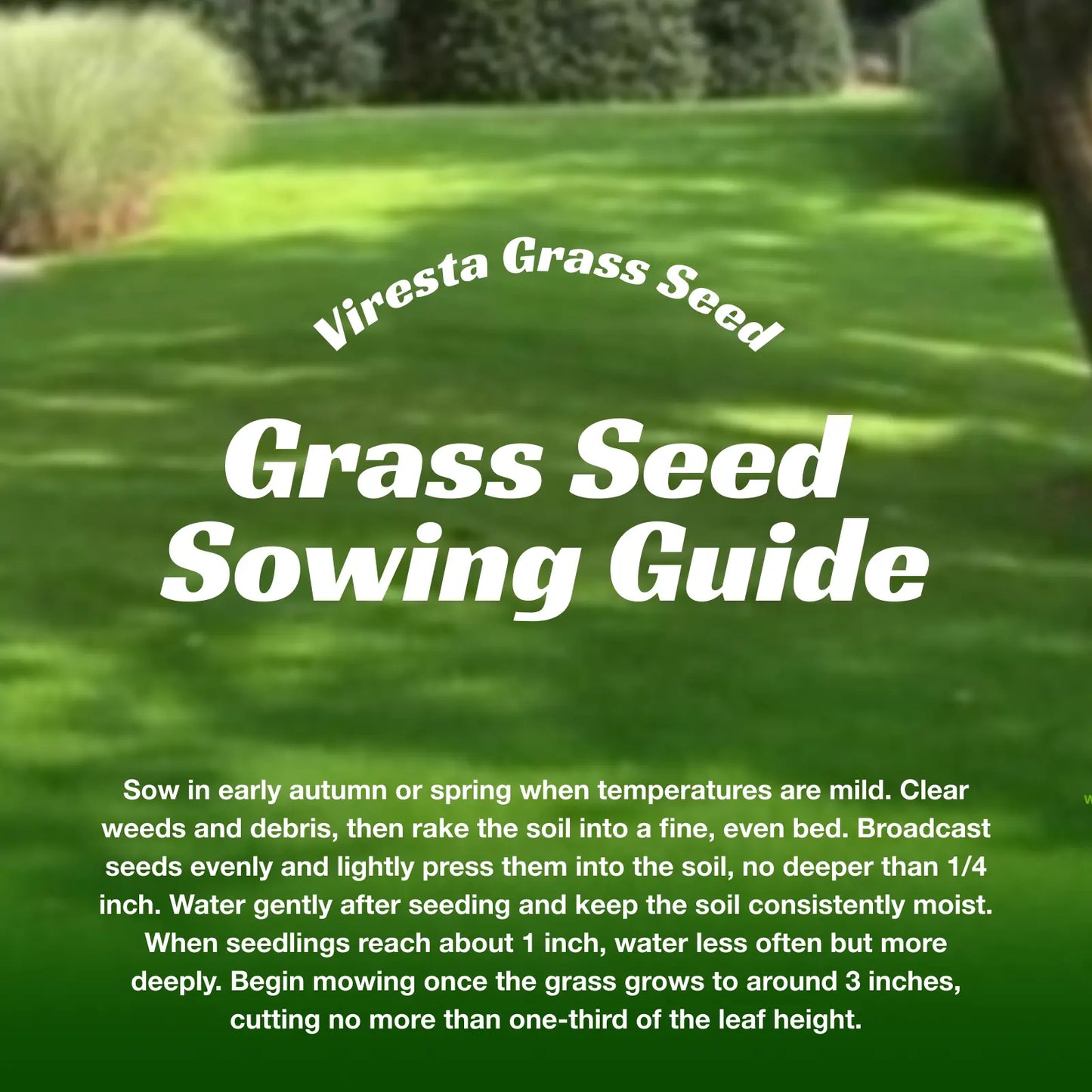 Premium USA-Grown Shade Grass Seed Mix | Fast-Growing, All-Season Turf