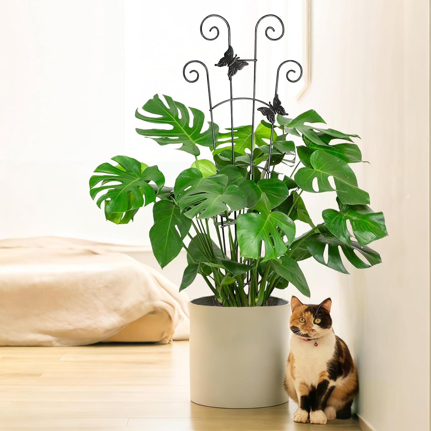 Monstera Plant Support Trellis (2-Pack) – Expandable Metal Stakes