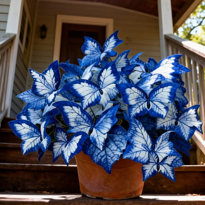 800 Pcs Butterfly Leaf Hosta Seeds | Shade-Loving Perennial Garden Plants | Easy-Grow Border Landscaping